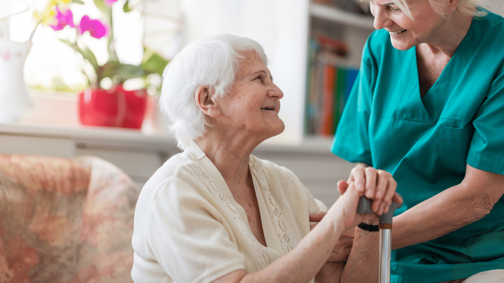 What Does Hospice Do In A Nursing Home